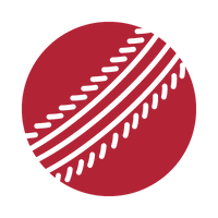 Cricket Ball Compatible